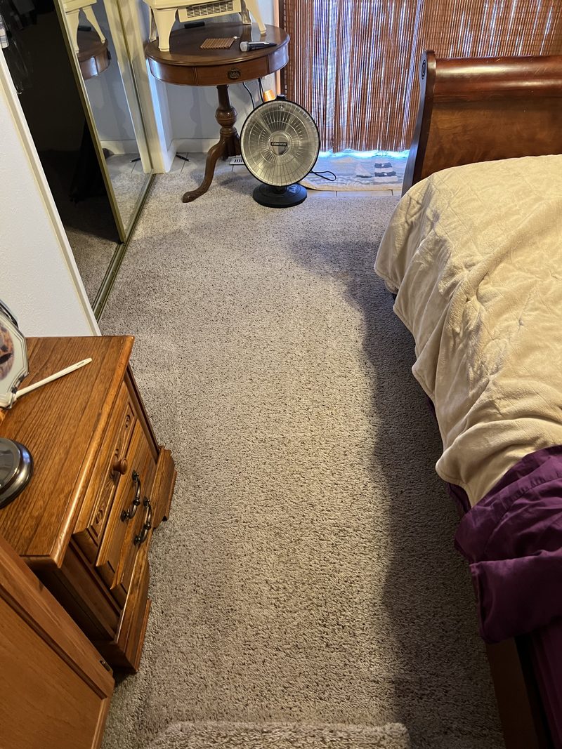 After — Carpet Deep Clean