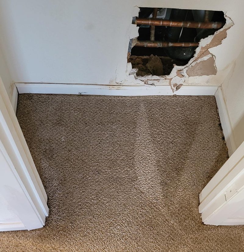 After — Upholstery Cleaning