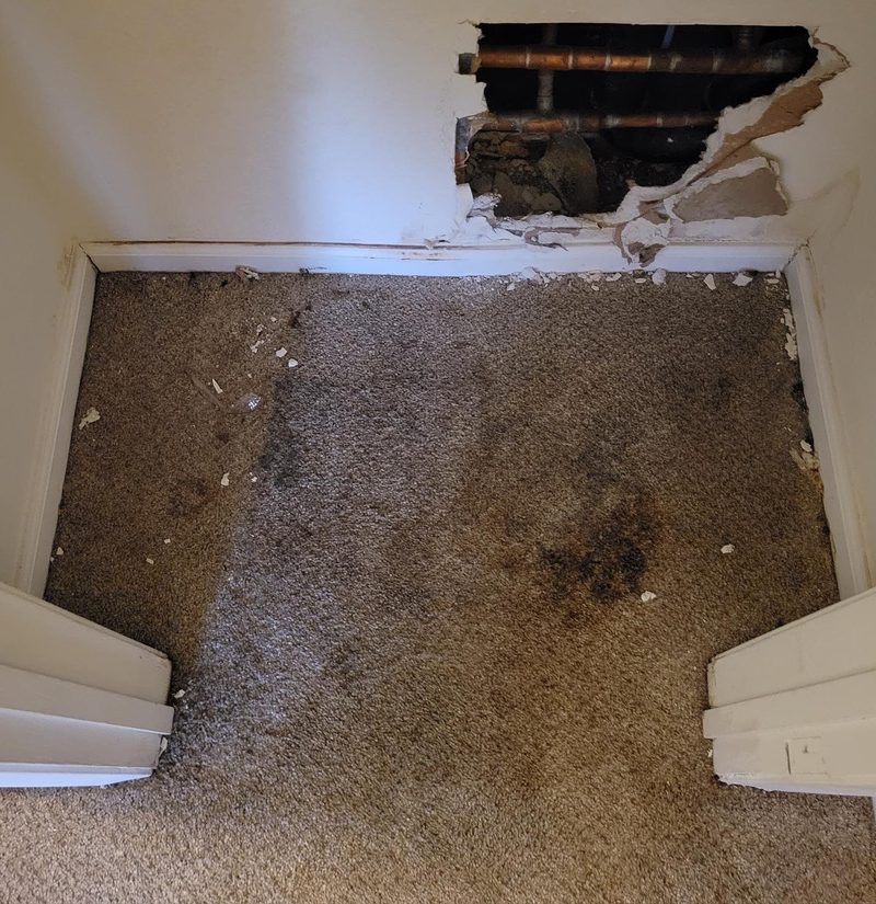 Before — Upholstery Cleaning